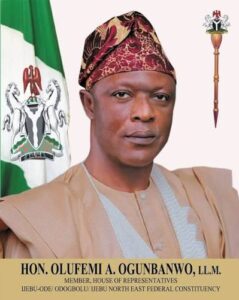 Barr. Femi Ogunbanwo