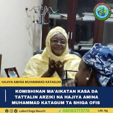 Amina Muhammed Katagum