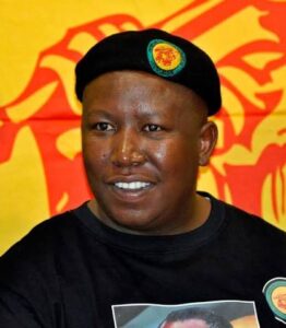 Richest Politicians in Gauteng, South Africa and Their Net Worth in Dollars