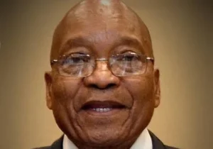The Richest Politicians in KwaZulu-Natal and Their Net Worth in Dollars